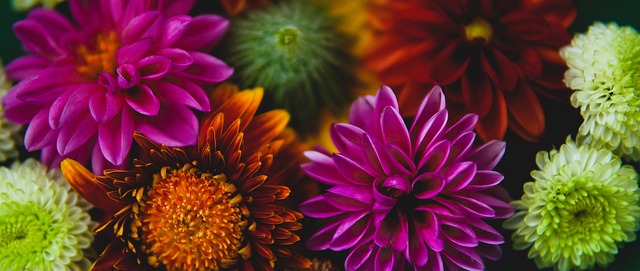 影不仅是一 影不仅是一