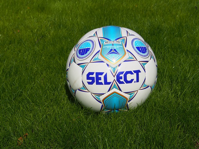 继续追寻自 继续追寻自