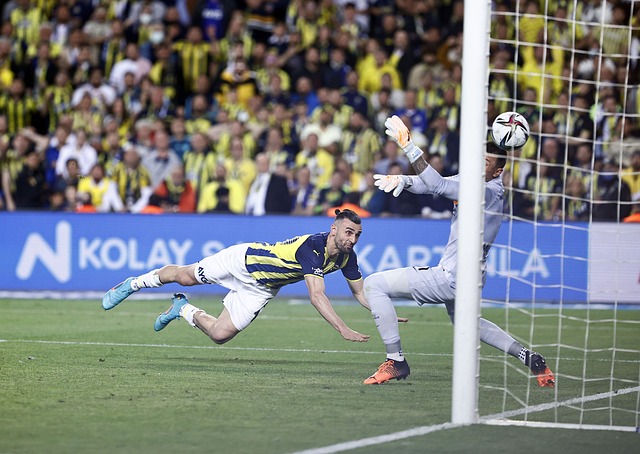 近年来一直 近年来一直