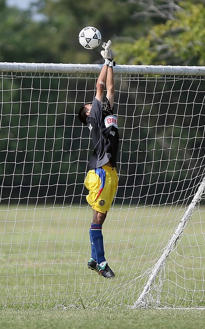 密斯的带领 密斯的带领