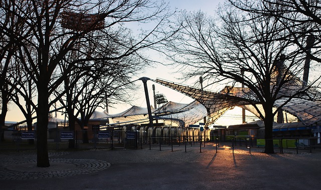 在足球场上 在足球场上