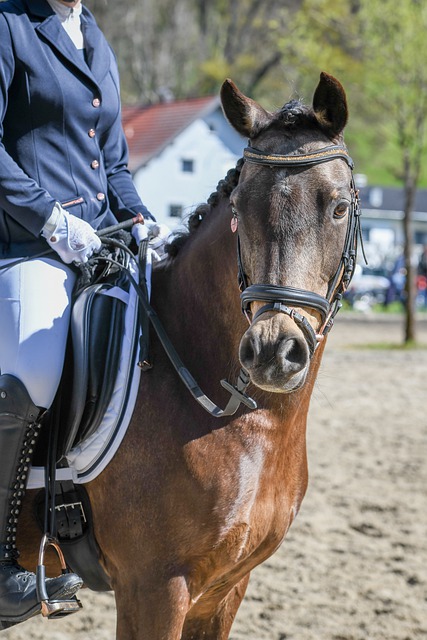 本文将深入 本文将深入