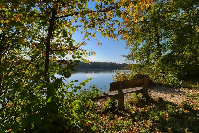 争取更多的 争取更多的